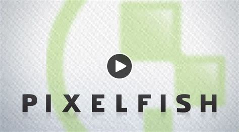 pixel fish|Video Production and Digital Marketing.